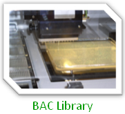 BAC Library